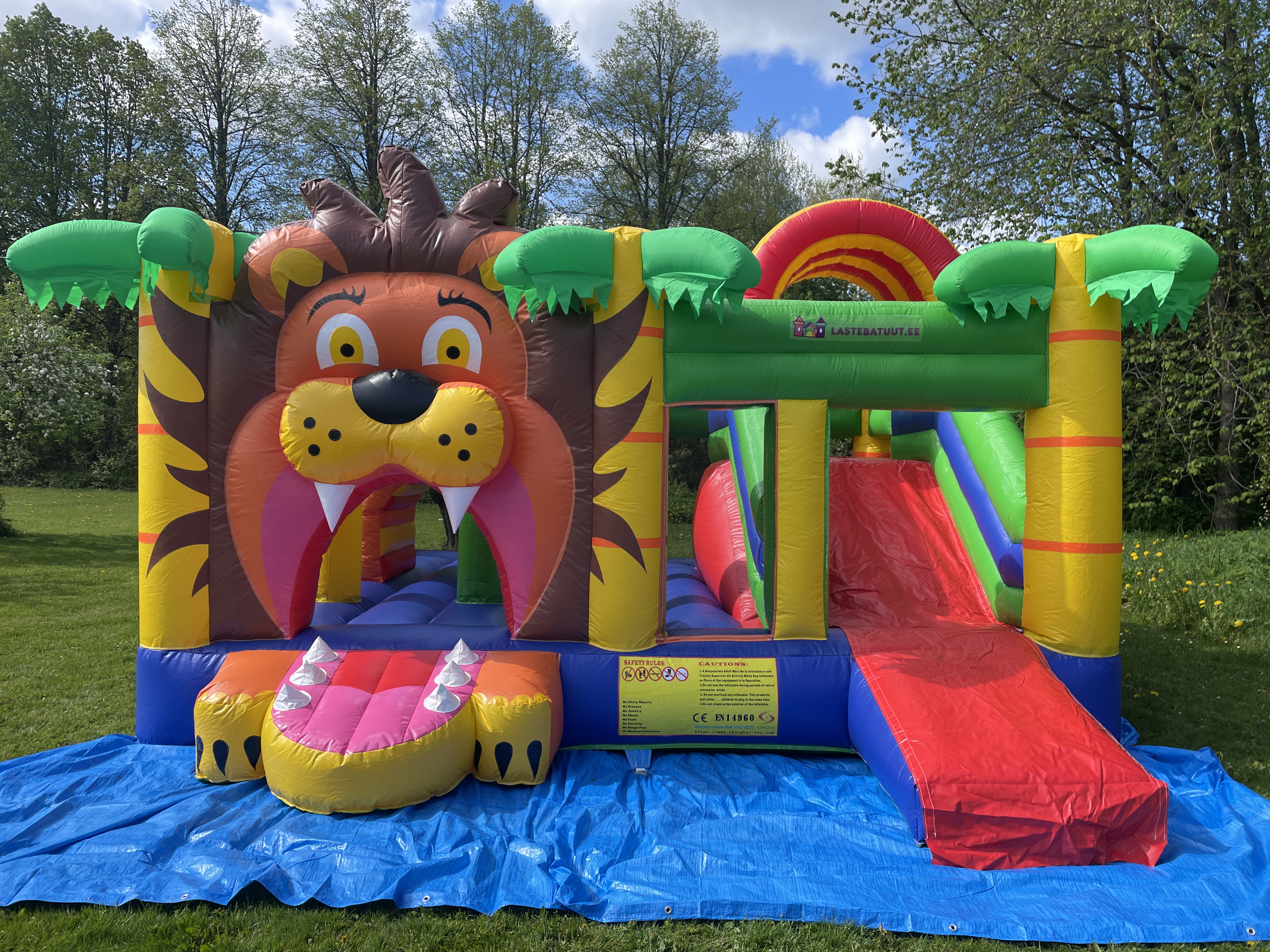 Suure lõvi batuudi pilt