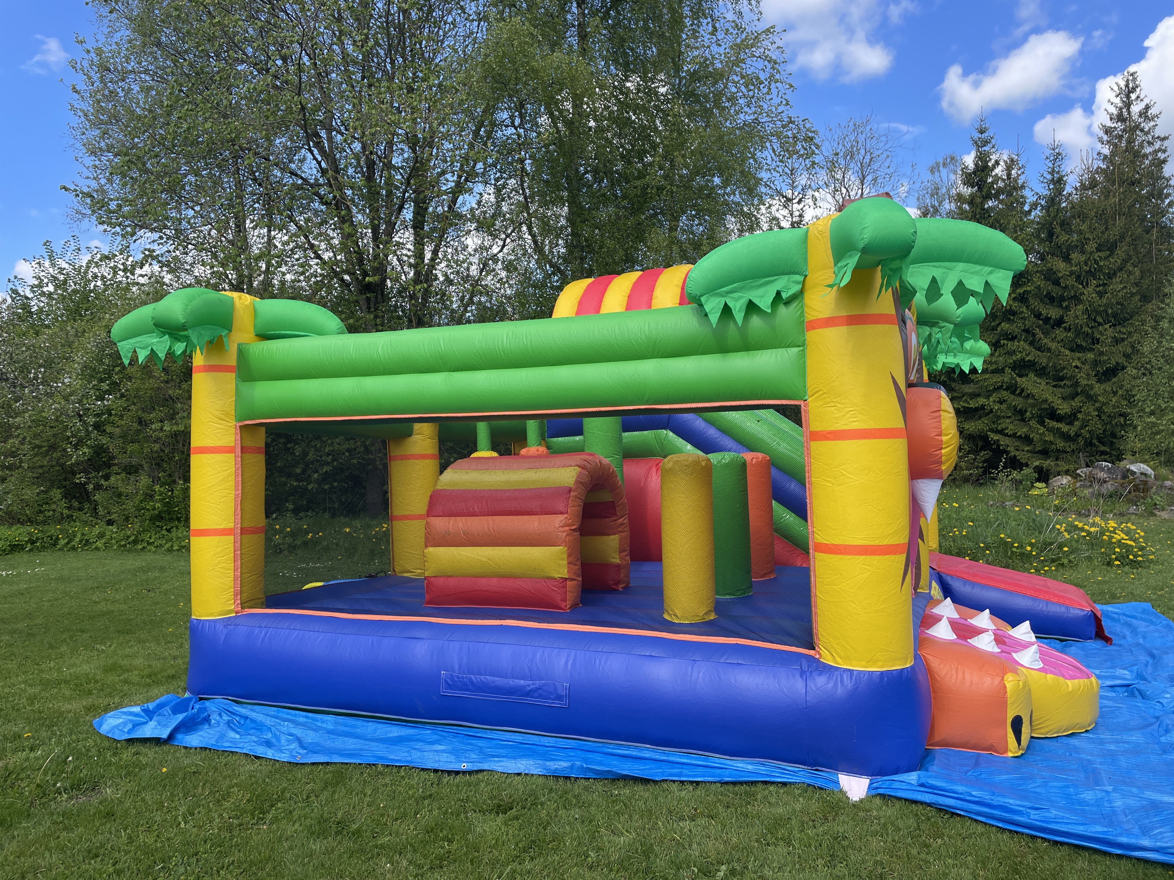 Suure lõvi batuudi pilt