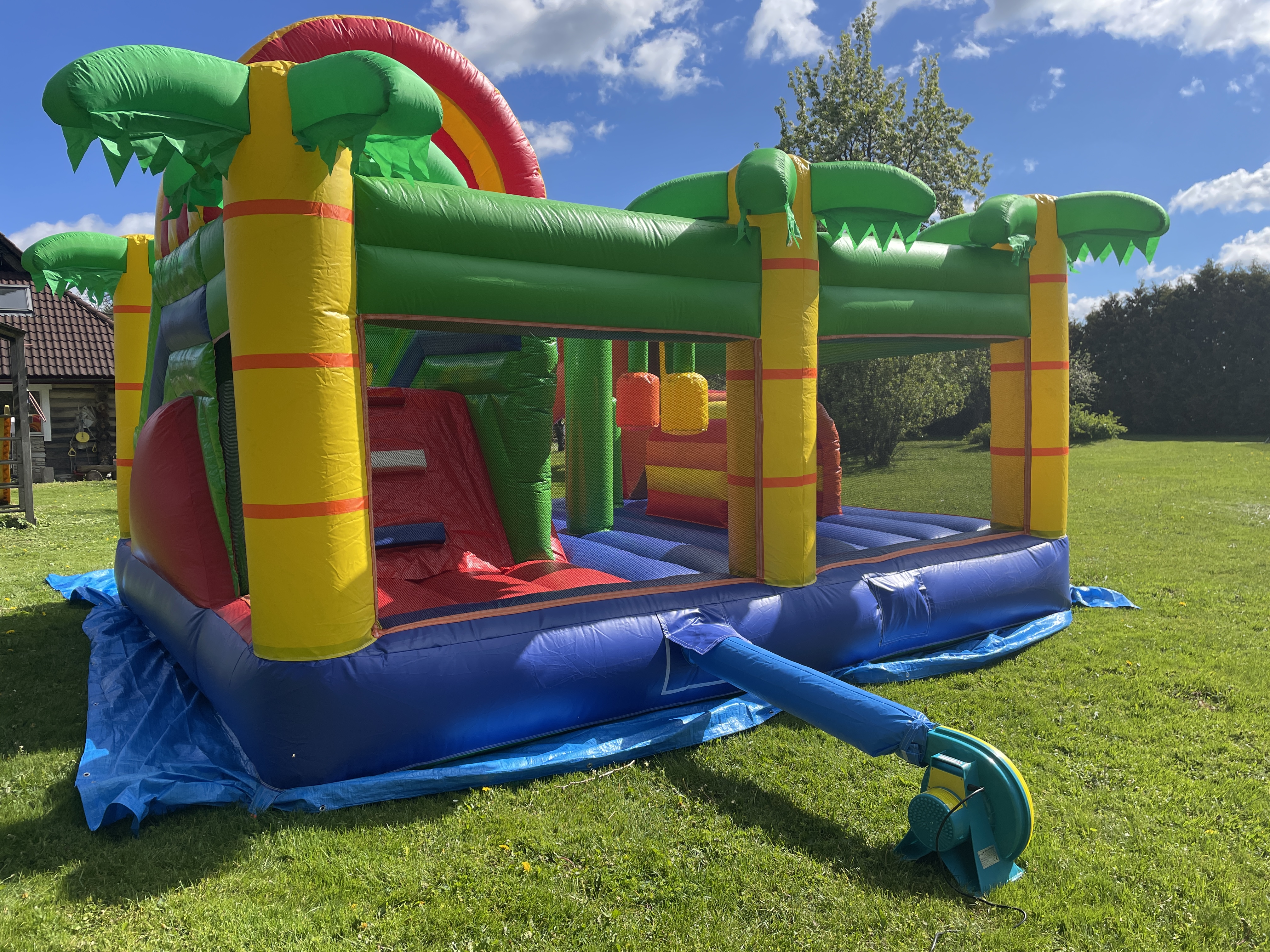 Suure lõvi batuudi pilt