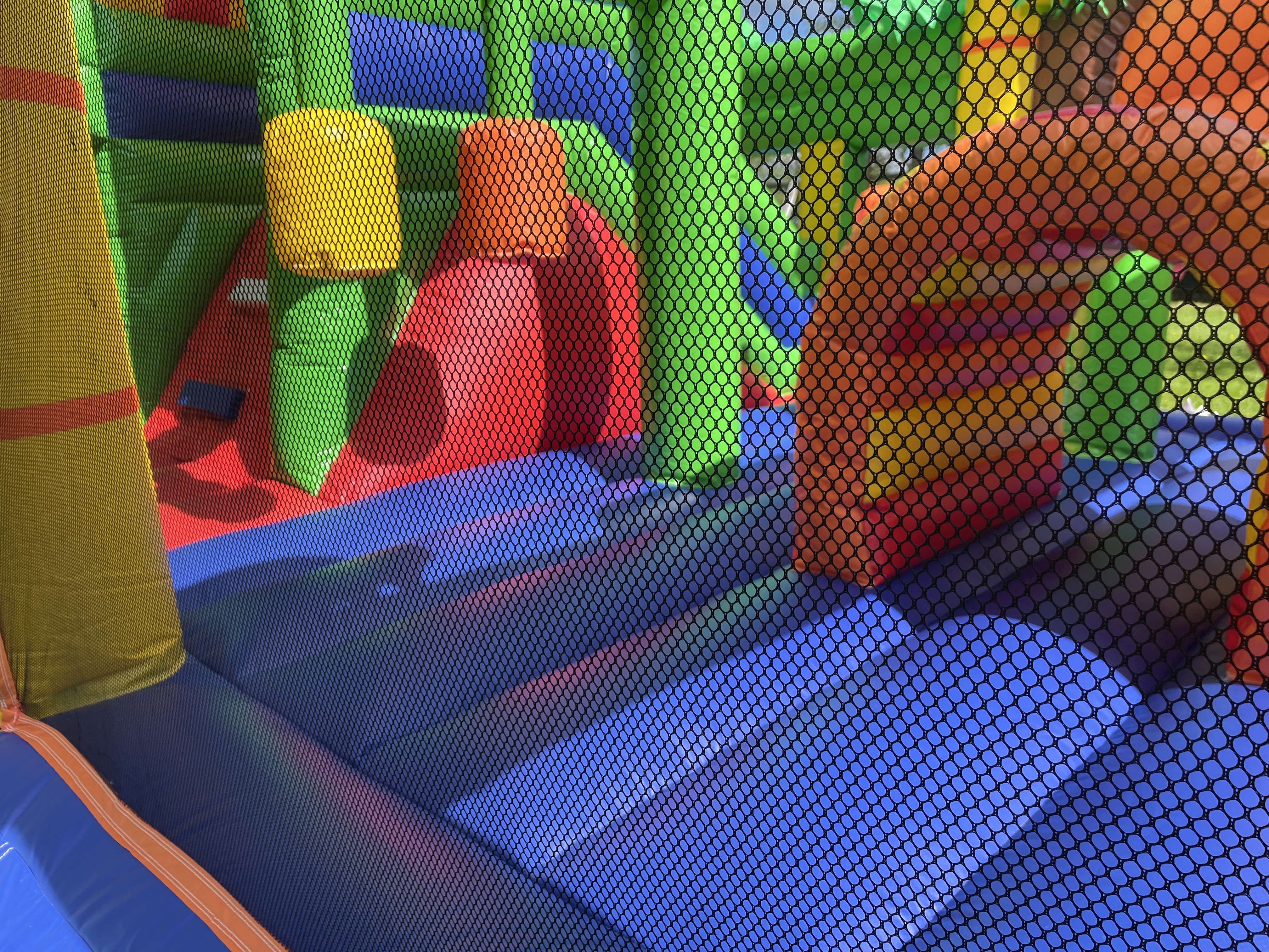 Suure lõvi batuudi pilt