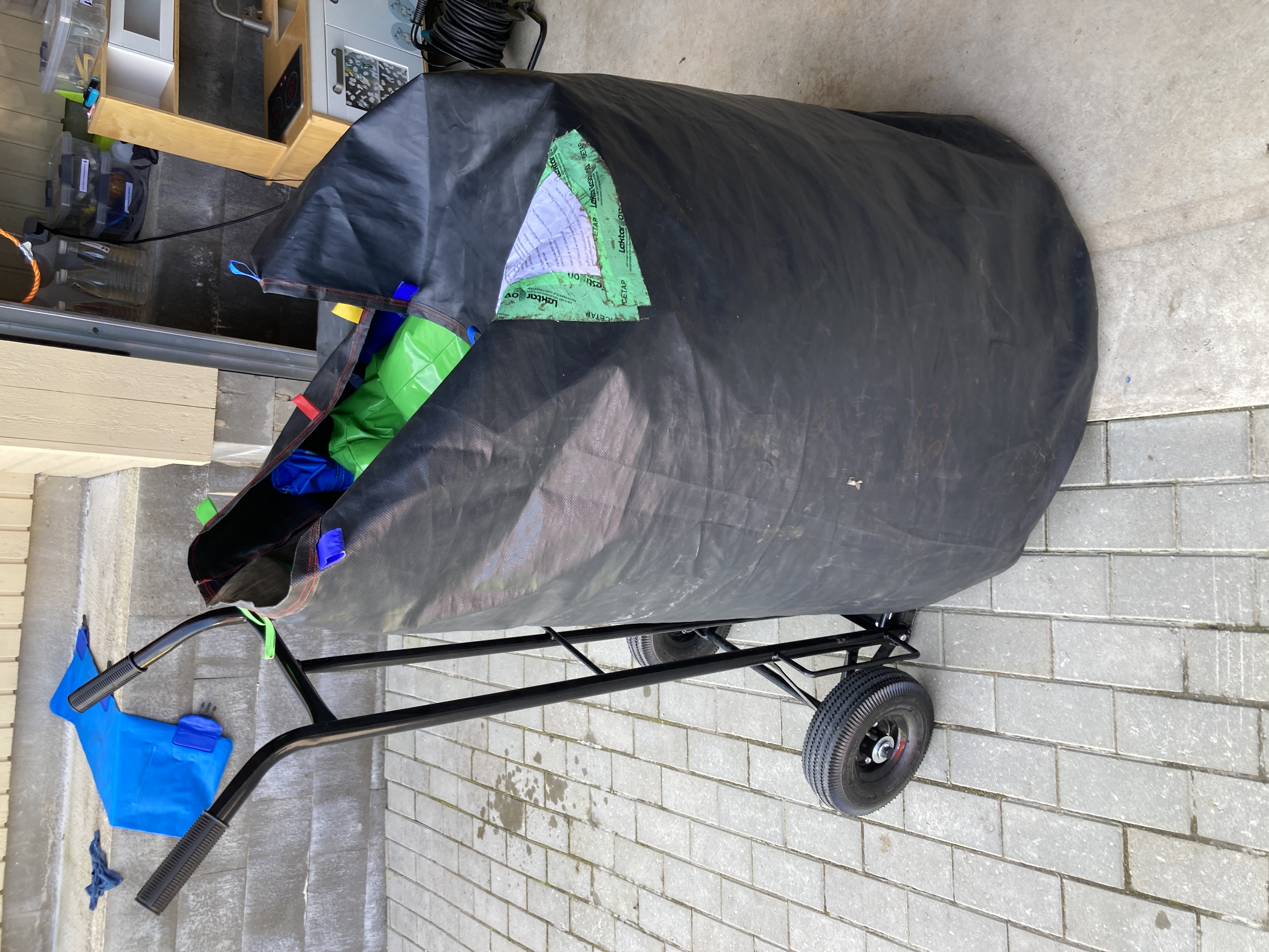 Suure lõvi batuudi pilt