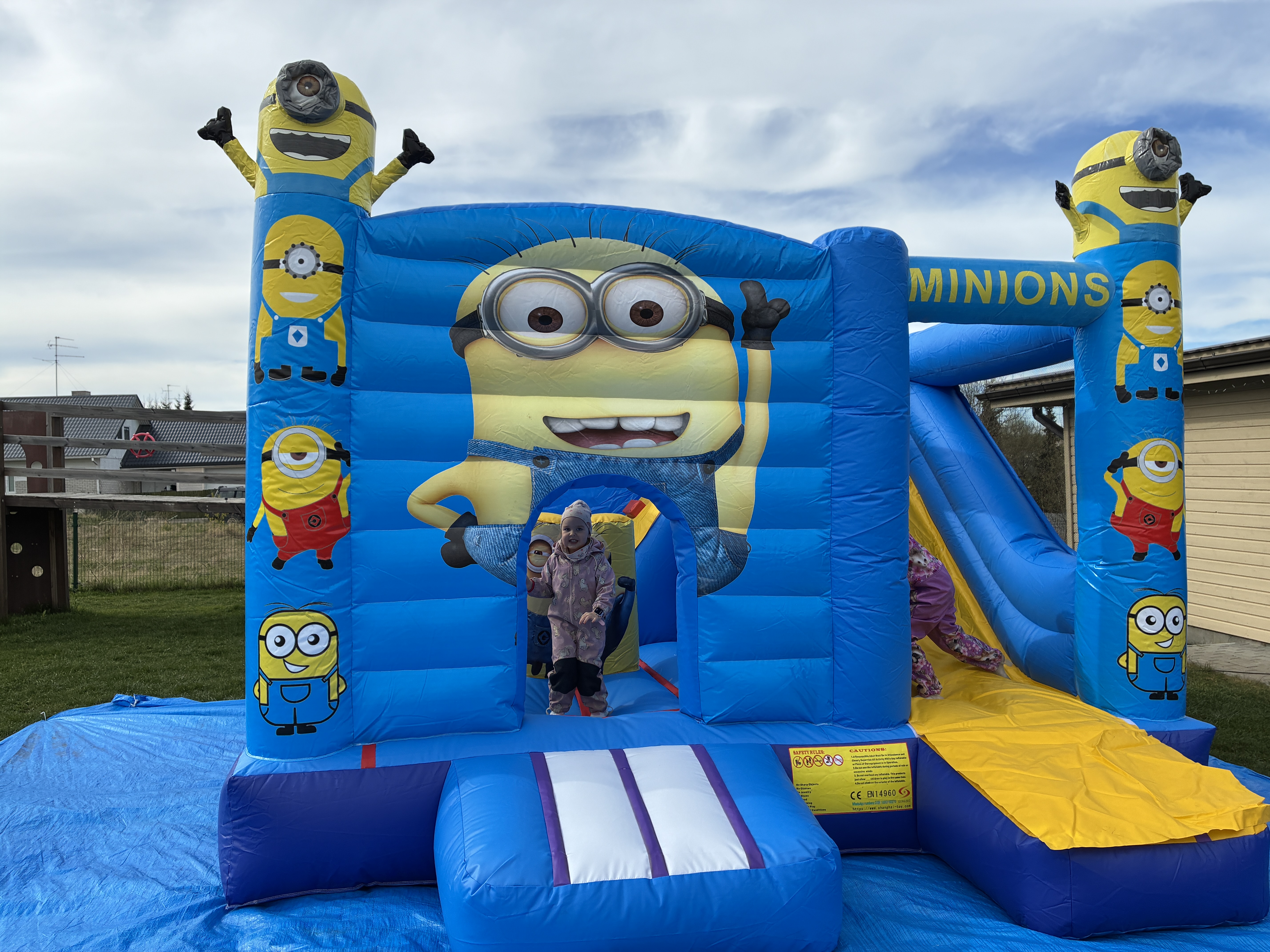 Minionite batuudi pilt